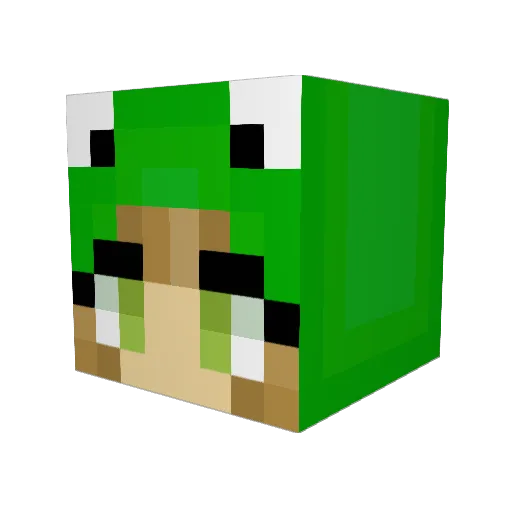 fannyeyy Minecraft avatar head, 3D render
