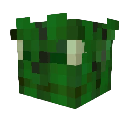 fannypackonfire Minecraft avatar head, 3D render