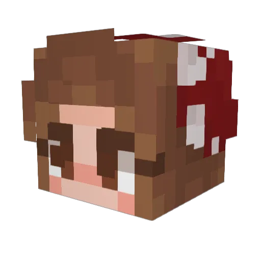 fanofbands101 Minecraft avatar head, 3D render