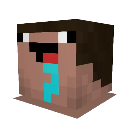 fanofmemes Minecraft avatar head, 3D render