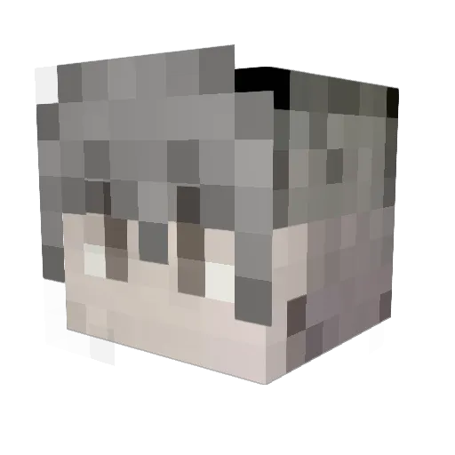 fanqing1122 Minecraft avatar head, 3D render