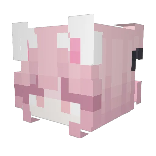 fansin0415 Minecraft avatar head, 3D render