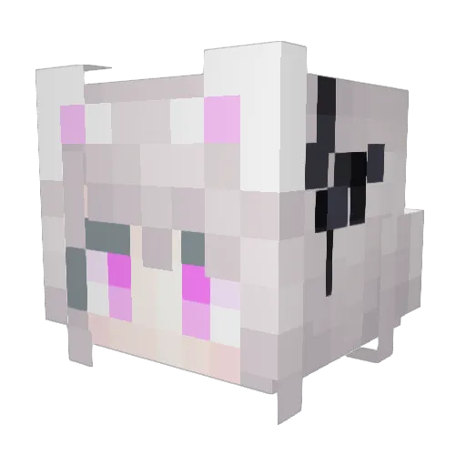 fant_desh Minecraft avatar head, 3D render