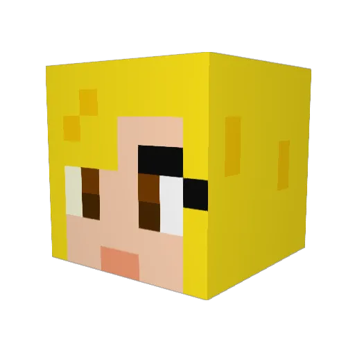 fantafish Minecraft avatar head, 3D render