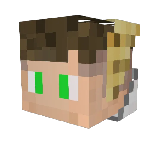 fantagamer1245 Minecraft avatar head, 3D render