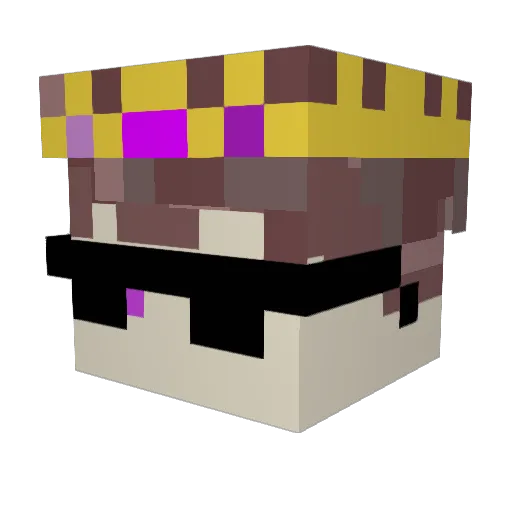 fantagrisen Minecraft avatar head, 3D render