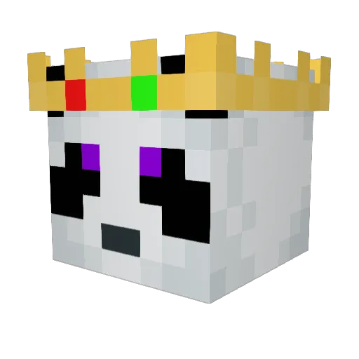 fantasim0 Minecraft avatar head, 3D render