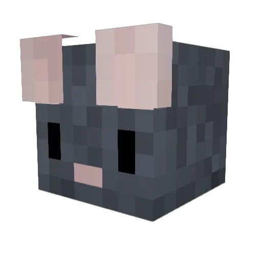 fantastica142 Minecraft avatar head, 3D render