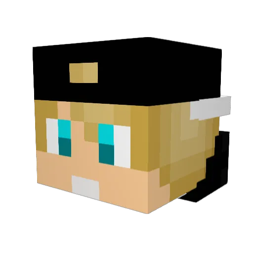 fantasy12 Minecraft avatar head, 3D render