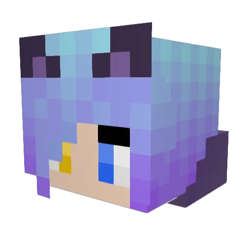fantasyvlogger45 Minecraft avatar head, 3D render