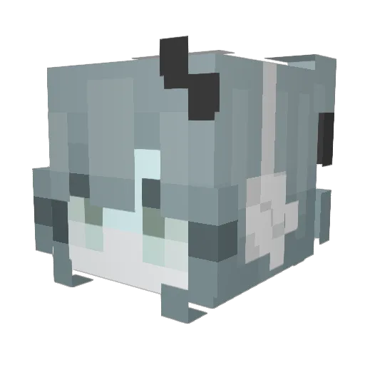 fantom_moon Minecraft avatar head, 3D render