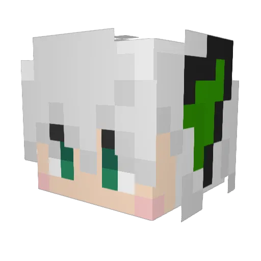 fantong408 Minecraft avatar head, 3D render