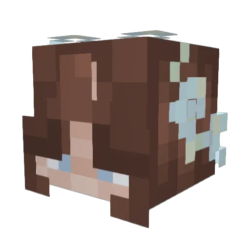 fantor2 Minecraft avatar head, 3D render