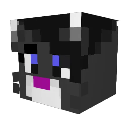fantoro Minecraft avatar head, 3D render