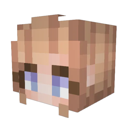 fanval Minecraft avatar head, 3D render