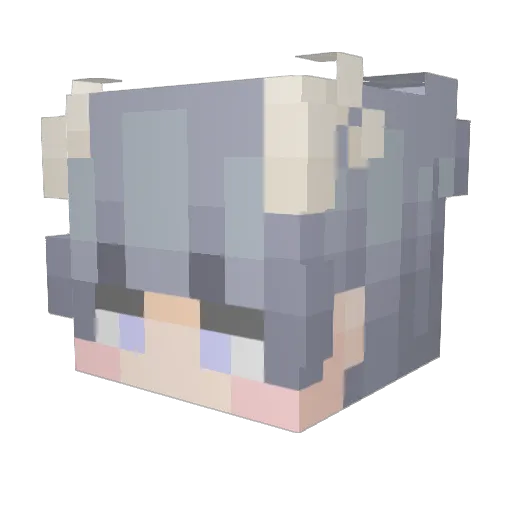 fanyyww Minecraft avatar head, 3D render