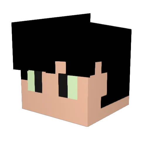 fanziqian Minecraft avatar head, 3D render