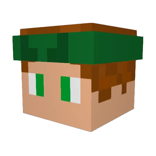 fappelflapje Minecraft avatar head, 3D render