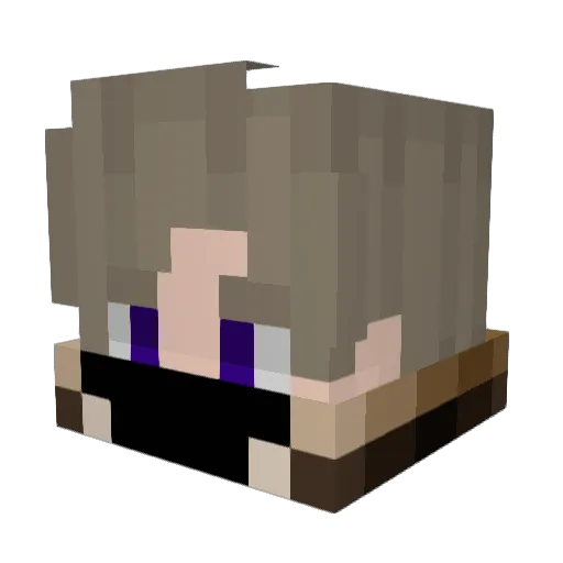 farace1981 Minecraft avatar head, 3D render
