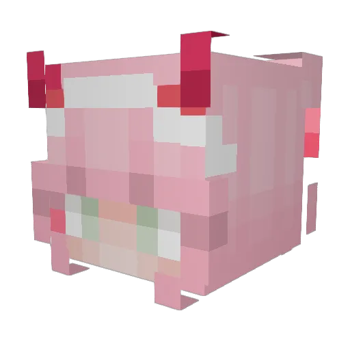 fare456 Minecraft avatar head, 3D render