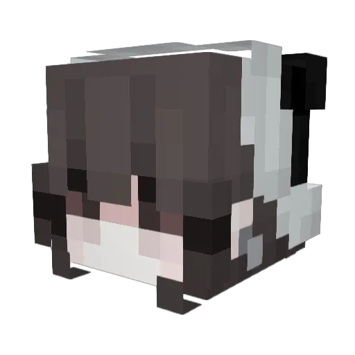 farinas Minecraft avatar head, 3D render