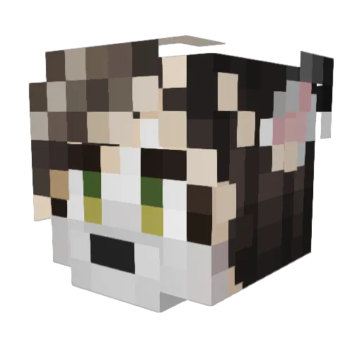 farinefiveroses Minecraft avatar head, 3D render
