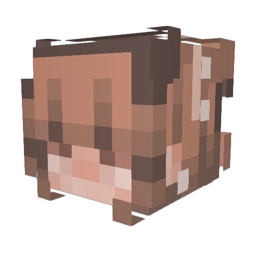 farlopin Minecraft avatar head, 3D render
