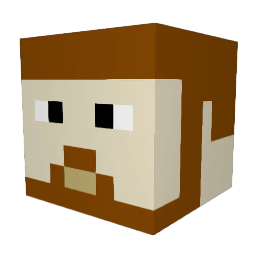 farmboyaf Minecraft avatar head, 3D render