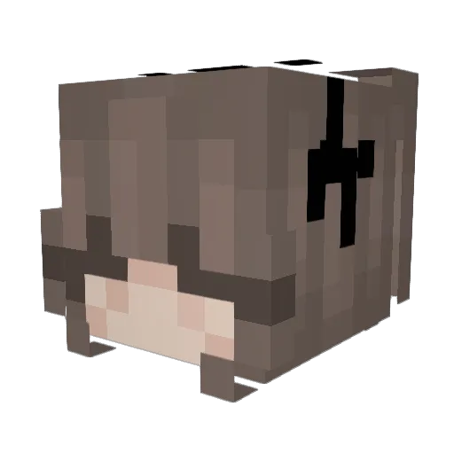 farmelo Minecraft avatar head, 3D render