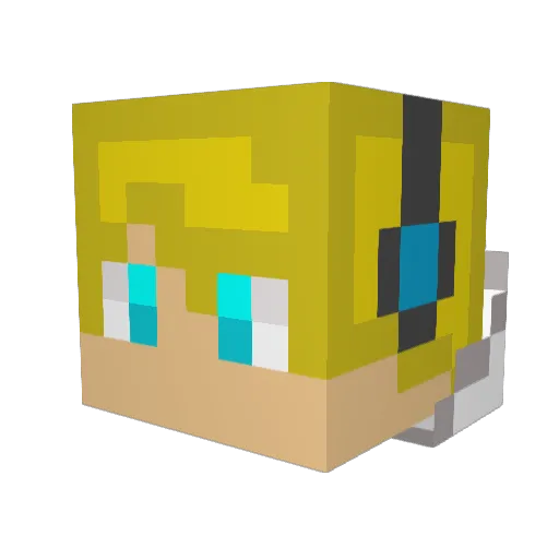 farmer4 Minecraft avatar head, 3D render