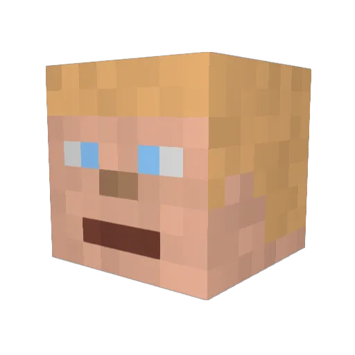 farmerboy3588 Minecraft avatar head, 3D render
