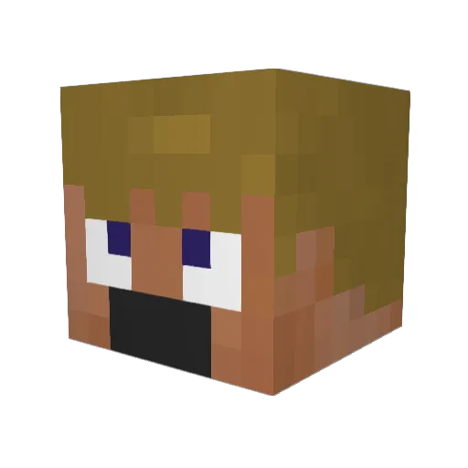 farmerfreedom Minecraft avatar head, 3D render