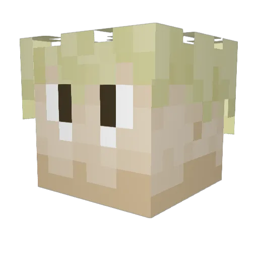 farmerlins Minecraft avatar head, 3D render