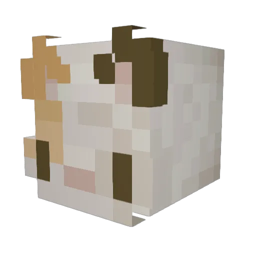 farmerwaka Minecraft avatar head, 3D render