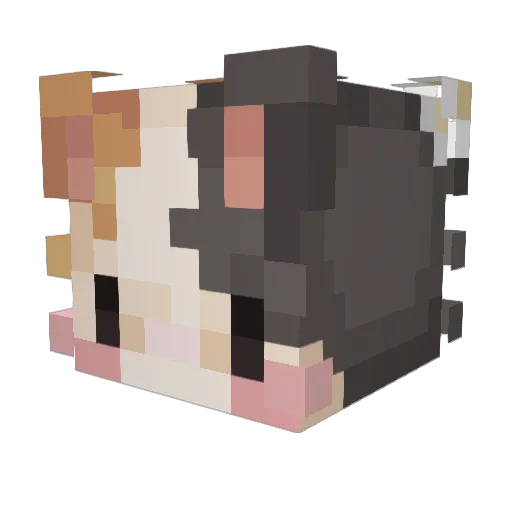 farn311 Minecraft avatar head, 3D render