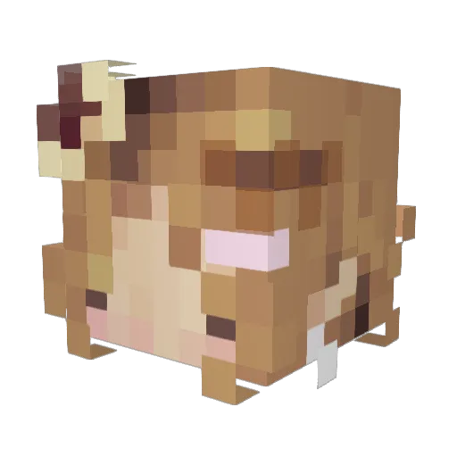 fart5339 Minecraft avatar head, 3D render