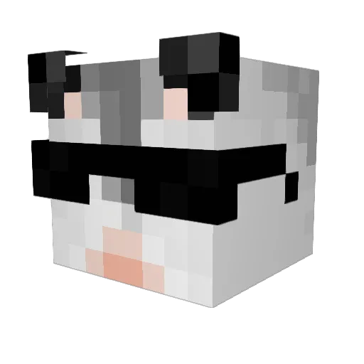 fart_1222 Minecraft avatar head, 3D render