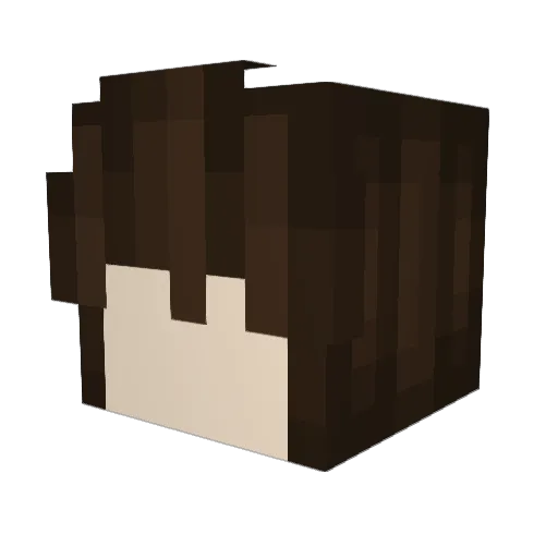 fart__ Minecraft avatar head, 3D render