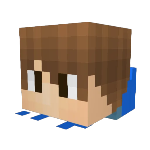 fartacas1 Minecraft avatar head, 3D render