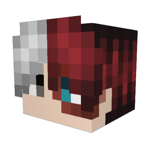 fartalitos Minecraft avatar head, 3D render