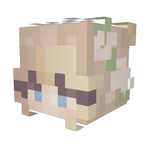 fartface__ Minecraft avatar head, 3D render
