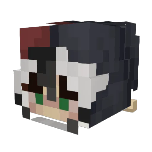 fartfella43 Minecraft avatar head, 3D render