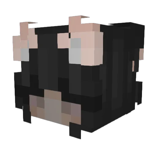 fartingnami Minecraft avatar head, 3D render