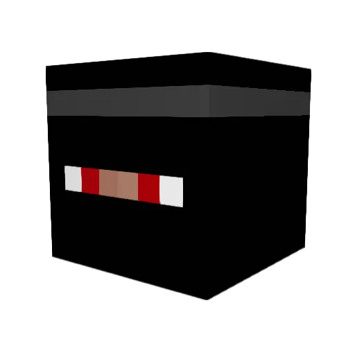 fartingninja19 Minecraft avatar head, 3D render