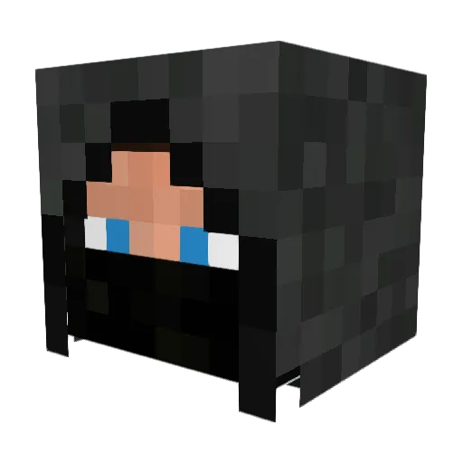 fartingninja Minecraft avatar head, 3D render
