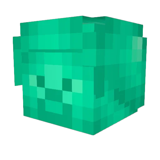 fartingterror Minecraft avatar head, 3D render