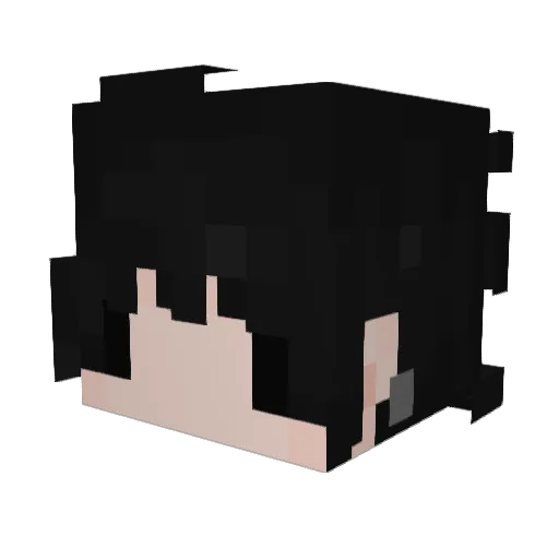 fartinyourface Minecraft avatar head, 3D render