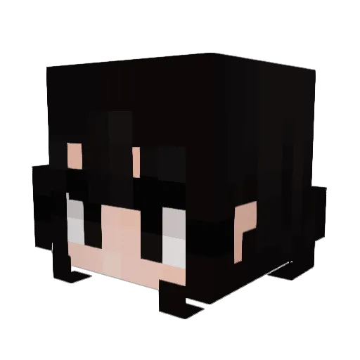 fartlord91 Minecraft avatar head, 3D render