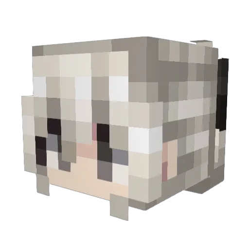fartlover420 Minecraft avatar head, 3D render