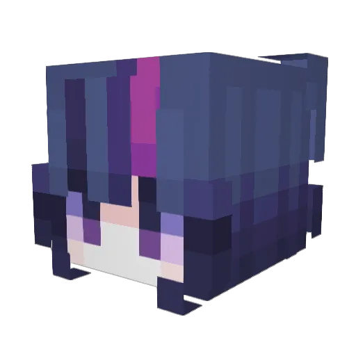 fartmaster9000 Minecraft avatar head, 3D render